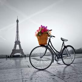 Puzzle 500 Romantic promenade in Paris