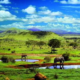 Puzzle 500 Tsavo National Parc, Kenya