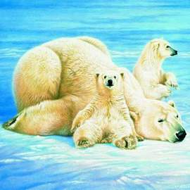 Puzzle 1000  Ledové medvědy