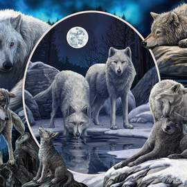 Puzzle 1000 Magnificent wolves