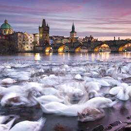 Puzzle 1000 Prague, Swans